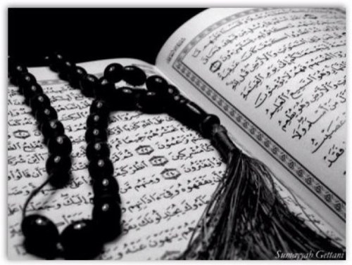 .اللهم اجعل هذا الحساب صدقه جاريه لواللدي واخواتي واخوي أستاذه نداء البياضي وواللديها وأستاذه شاهه وواللديها وأستاذه مها المرواني وواللديهاوخلف وبدر ومحمد
