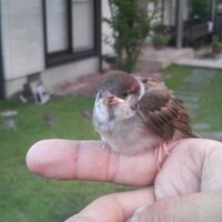 なおさん (@sc57nao) 's Twitter Profile Photo