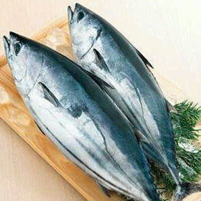 川住まいのかつお 一人前 カツオ 鰹 松魚 堅魚 英名 Bonito もしくは Skipjack Tuna 3 学名 Katsuwonus Pelamis は スズキ目 サバ科に属する魚の一種 暖海 外洋性の大型肉食魚で 1種のみでカツオ属 Katsuwonus を構成する