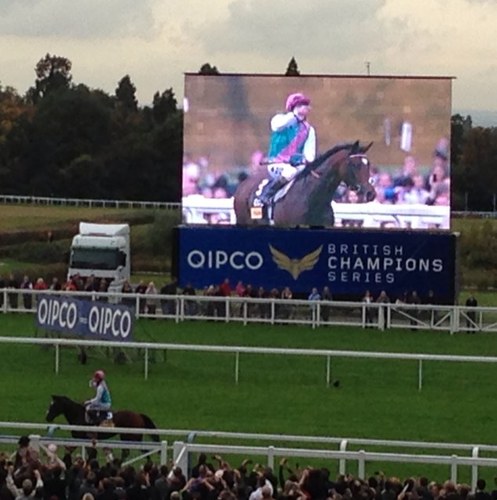 SteveSaunders16's profile picture. punter