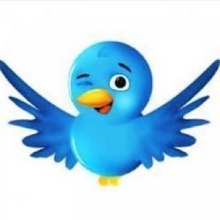 Twitter Team helping you gain more than 2,000 followers everyday! Check out our tweets for info.