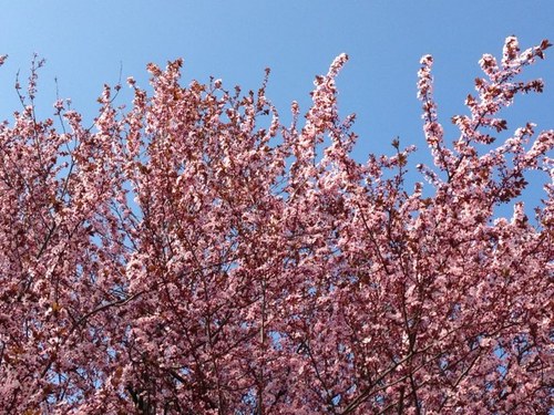 MarikaBoraschi's profile picture. 