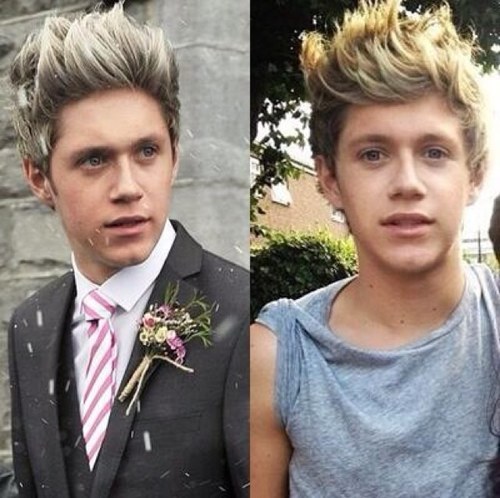 weyheyNJH's profile picture. I have 4/5 official kik. Been on the roller coaster of life and still dont have my 5/5 follows :'( just ask for a follow. Shoutouts for shoutouts. Love yas :*