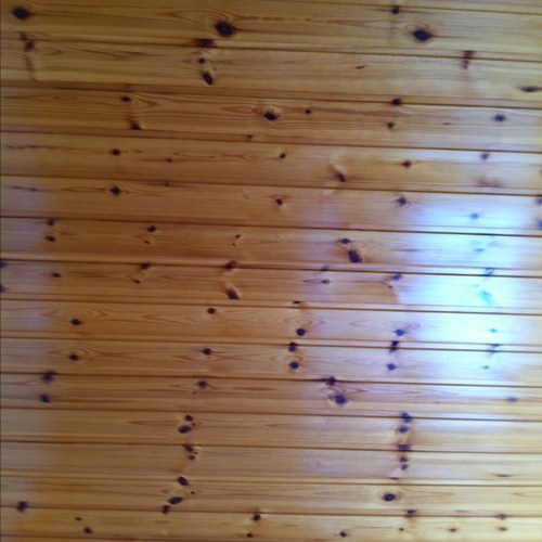 donalbonner's profile picture. 