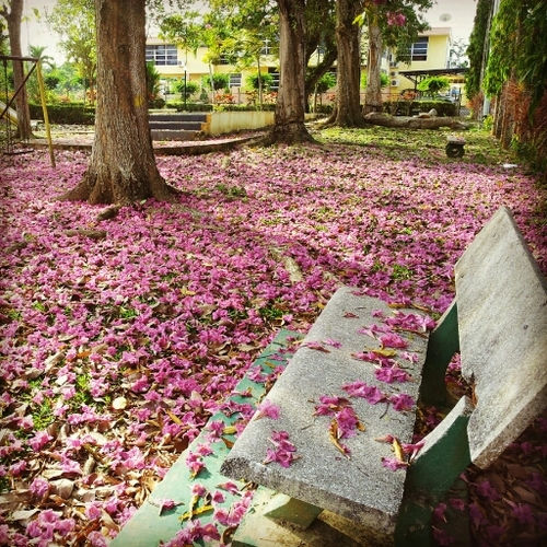 fafaothman's profile picture. maybe!