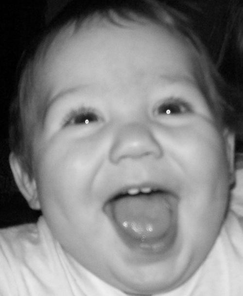 BabyNumNums's profile picture. Frozen organic baby food cubes made by a mom! The most convenient way to give your little one nutrition & great taste. So fresh & yummy you'll eat it yourself!