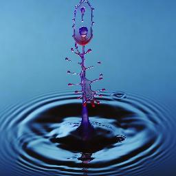 tecoflo's profile picture. Juegos, Tecnología, Informática, Redes, Cine, Fotografía, Música, Videoclips, Vídeogame, Noticias, Curiosidades, Gadgets, etc. Cuenta de Instagram: @dione342