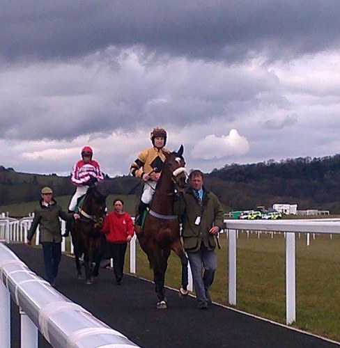 mshearsracing's profile picture. fast fillys who jump well what more can u want