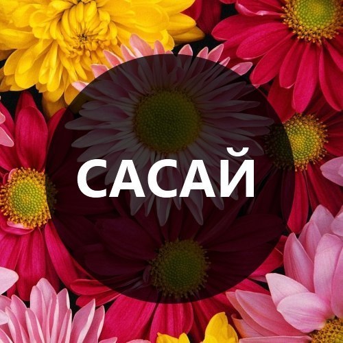 MegaDoter's profile picture. blogger :) #ЧитаюВзаимно