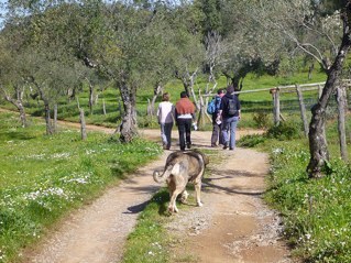 HoveBird's profile picture. English Teacher rambling on....