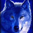 abida ahmed - @abidaahmed7 - Twitter