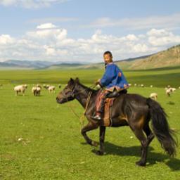 MGLooo's profile picture. Миний Монгол Мөнх оршиг
Монгол гэх бүхнийг магтан жиргэнэ