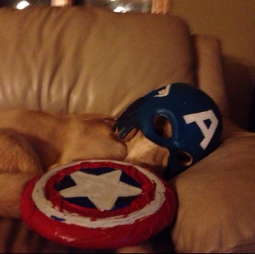 vanjuliet's profile picture. 