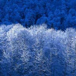 DoraKatavic's profile picture. qqqaa