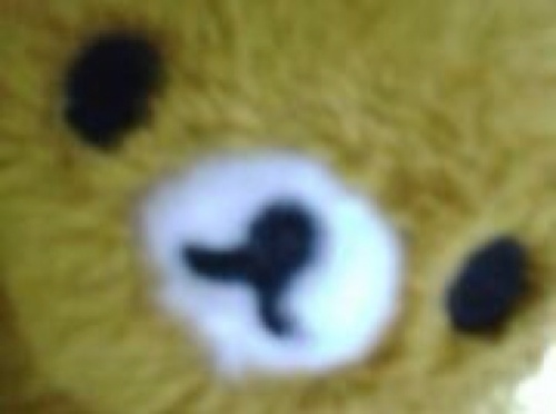 こん