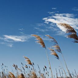 kelly_kbhealey's profile picture. Talent acquisition business partner and HR operations