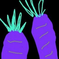 紫人参 (@murasakininjin) 's Twitter Profile