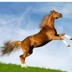 SharpRock2020's profile picture. sharprock2020