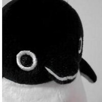 makiemon (@kyakyaemon) 's Twitter Profile