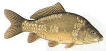Coarse fishery opening June 16th 2013 located at Felmoor Park, Eshottheugh, Northumberland