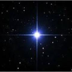 hanamisuky's profile picture. 日本の現実に一喜一憂。祖国の栄光を願いつつ…