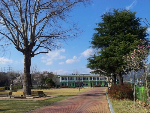 ♡안강~고향.동산.외할머니/아버지~사과.자전거.꿈/엄마~석류.도시락.생일상/ 나~비.책.음악.영화.마음.꿈.사랑.긍정.자전거.여행.황진이.공지영.문학.심리학♡ ♬ 하루 100쪼~옥 읽기당♪