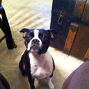 Gene Reimer - @rednkoki - Twitter