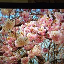 Angela Benjamin - @amanni2 - Twitter