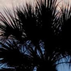 traveltohhi's profile picture. 