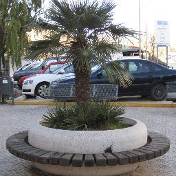 Professor Tecnologia en ESO, València.
