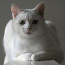 Sara Cobb - @saracobb48 - Twitter