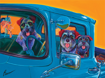 govoyage's profile picture. 