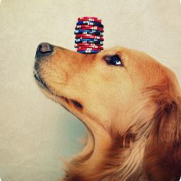 sbill4671's profile picture. 