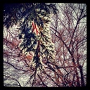 Gabe Barron - @160080gb - Twitter