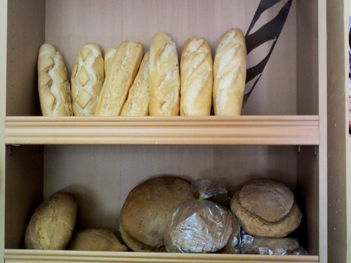 lossmolina's profile picture. Especialistas en palmeras de kinder y palmeras gigantes de todo tipo