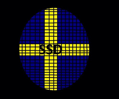 SelfSwedish's profile picture. 