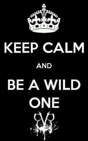 hey guys, I'm Ashley(secretly)love SWS, BVB, all bands