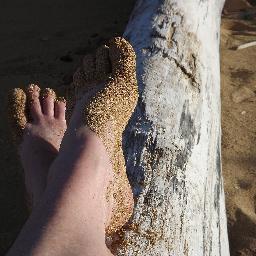 TKayErickson's profile picture. Wife. Mom. Oil Painter. Reader. Rescuer of old books & old pastels. My gym is my yard.