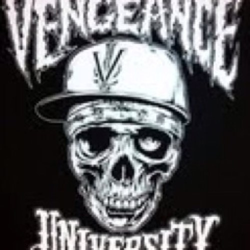 Avenged Sevenfold, Vengeance University, Bad influence on your children.