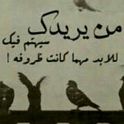 mhmadalbrazy's profile picture. ضيفوني علئ حسابي الجديد almturi305___q8