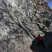km (@argyle_kyle) 's Twitter Profile