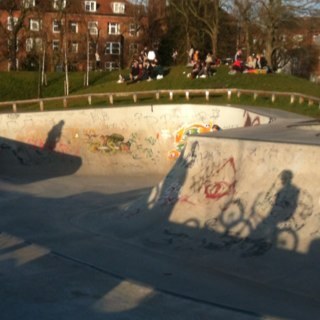 clissoldpark's profile picture. Skate is free