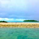 Shea Perkins - @sperk0 - Twitter