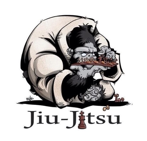 Info on Upcoming BJJ Camps, tournaments, Seminars etc...
We FOLLOW Back!