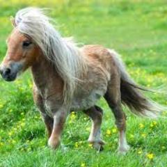 aschwa32's profile picture. 