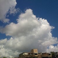 Conchita (@conchi2212) 's Twitter Profile