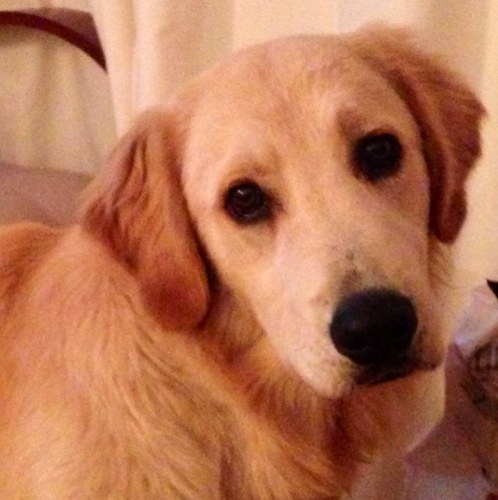 Sandra46641856's profile picture. 