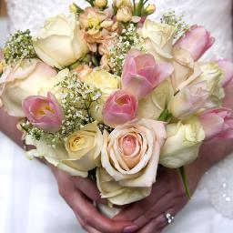 BridalBlogNet's profile picture. 