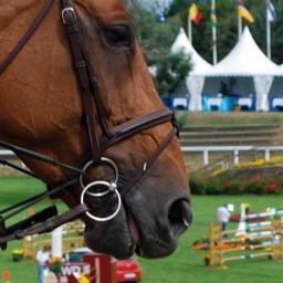 Centre Equestre de Dinard. Ecole d'équitation. Ecuries de propriétaires. Concours hippiques nationaux, internationaux, CSI*** organisés par Ecuries du Val Porée