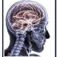 NatNeuroComp (@natneurocomp) 's Twitter Profile